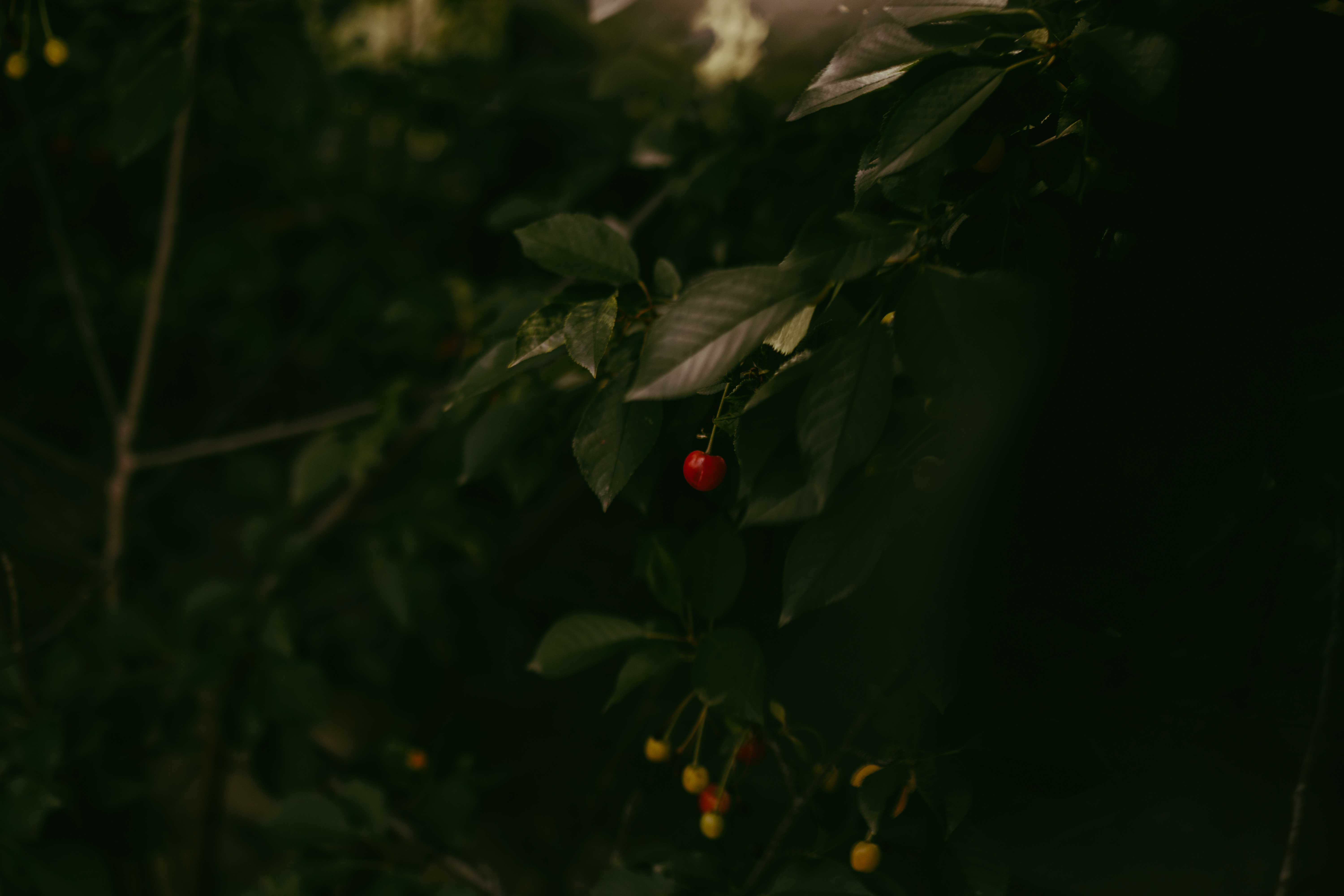 nature02