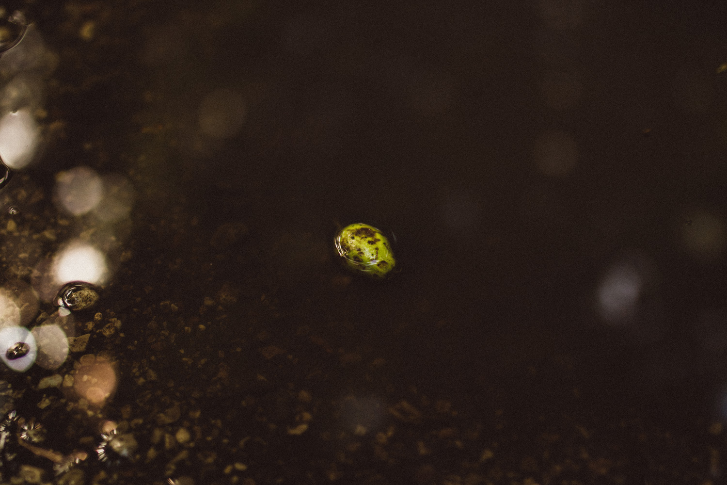 nature02