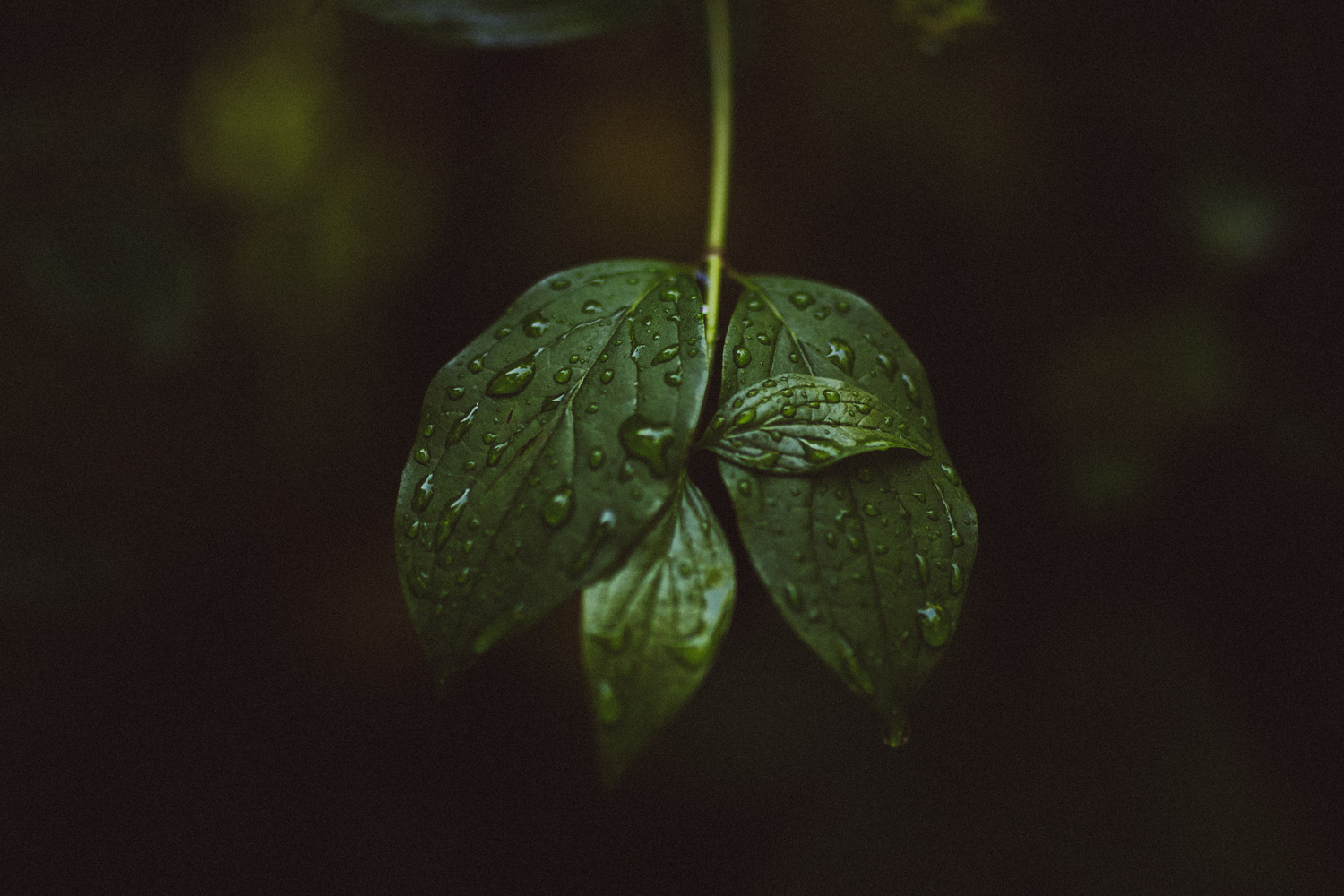nature04